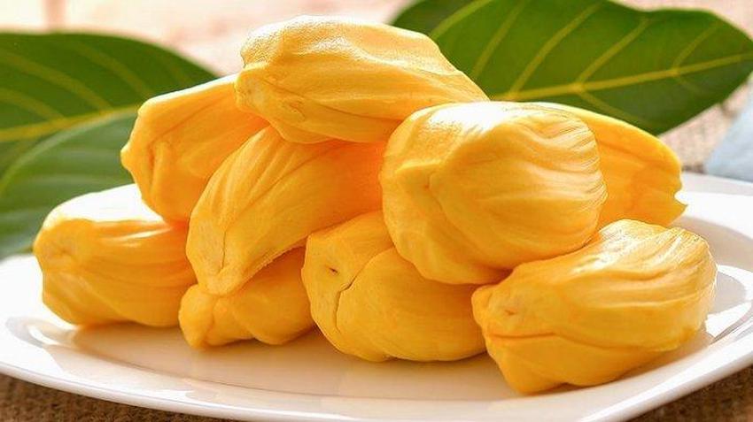 7 Perbedaan Unik Cempedak vs Nangka Mana Lebih Enak