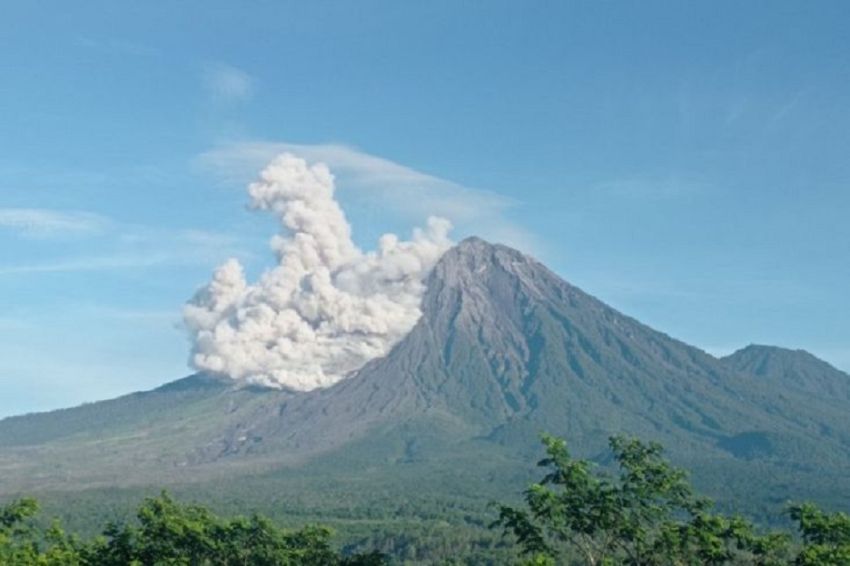 Gunung Semeru 7 Kali Erupsi Hari Ini Tinggi Letusan Capai 900 Meter