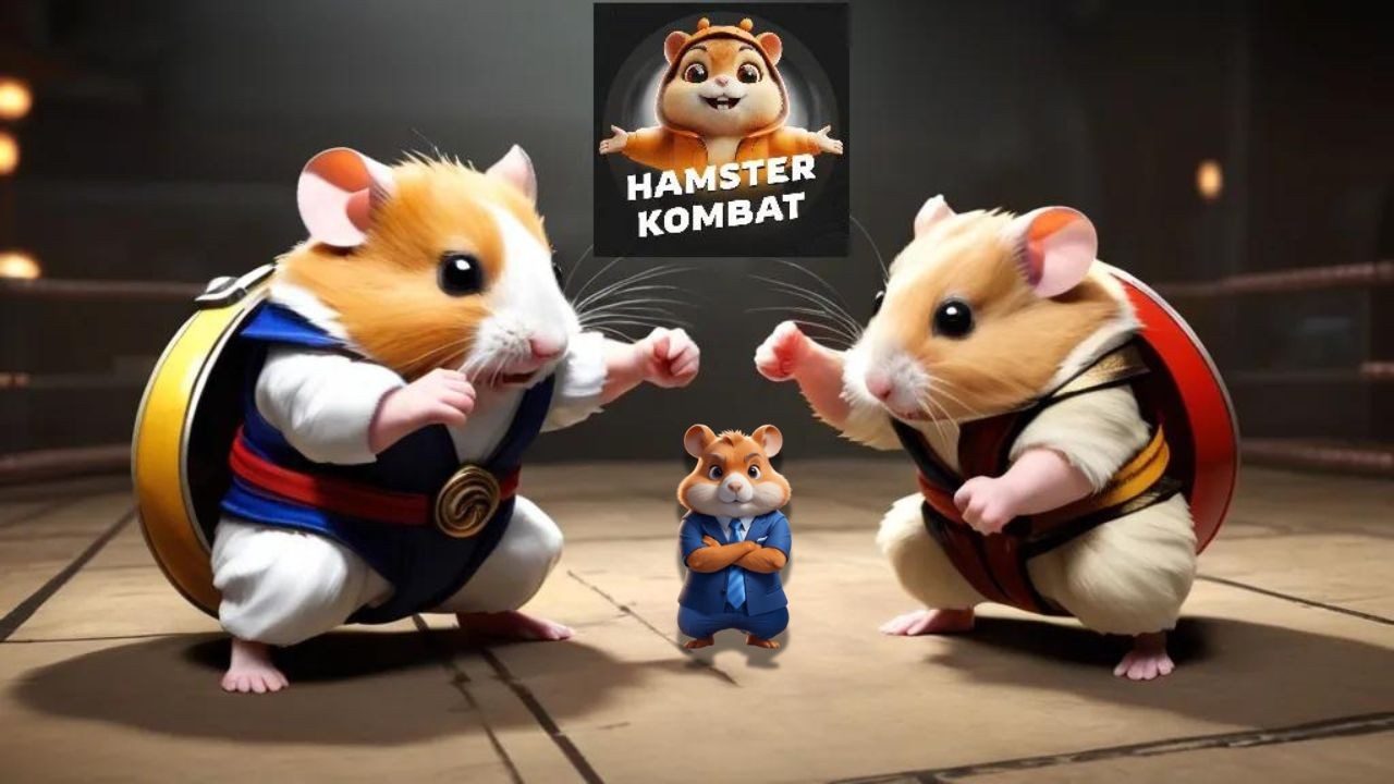 Combo Harian Hamster Kombat Hari ini Gratis 5 Juta Koin