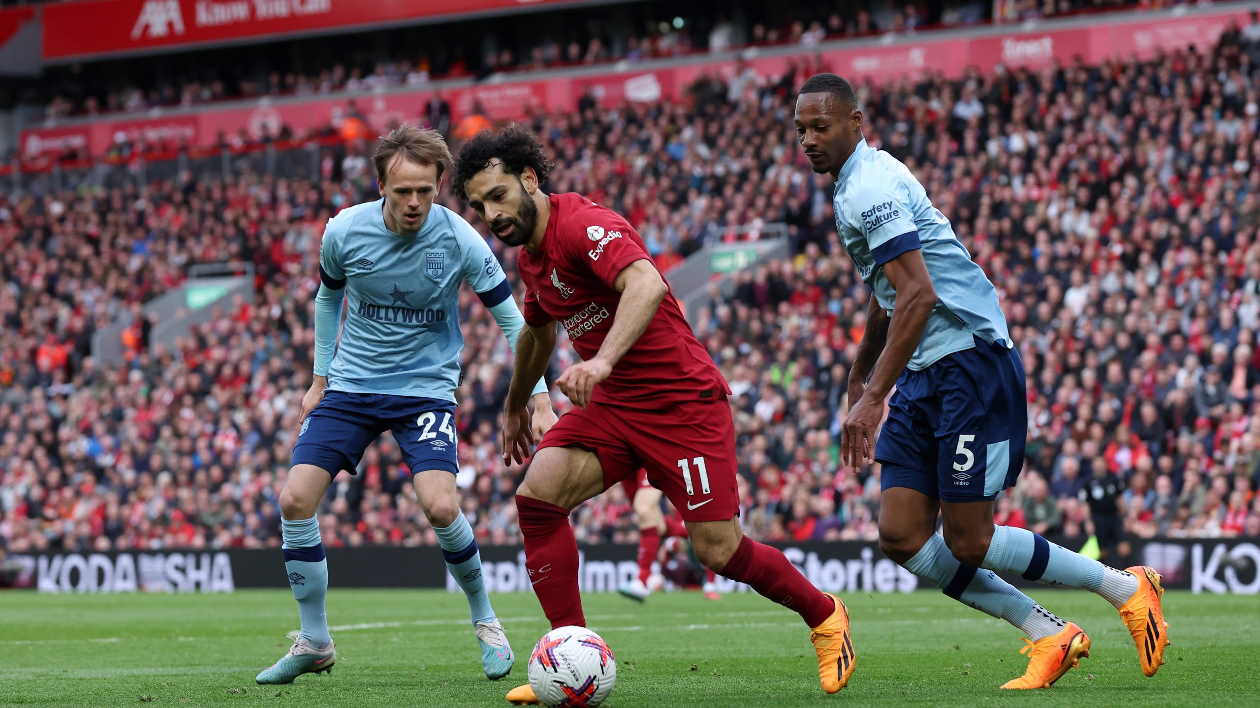 Prediksi Lengkap Liga Inggris 2024-2025 Liverpool vs Brentford