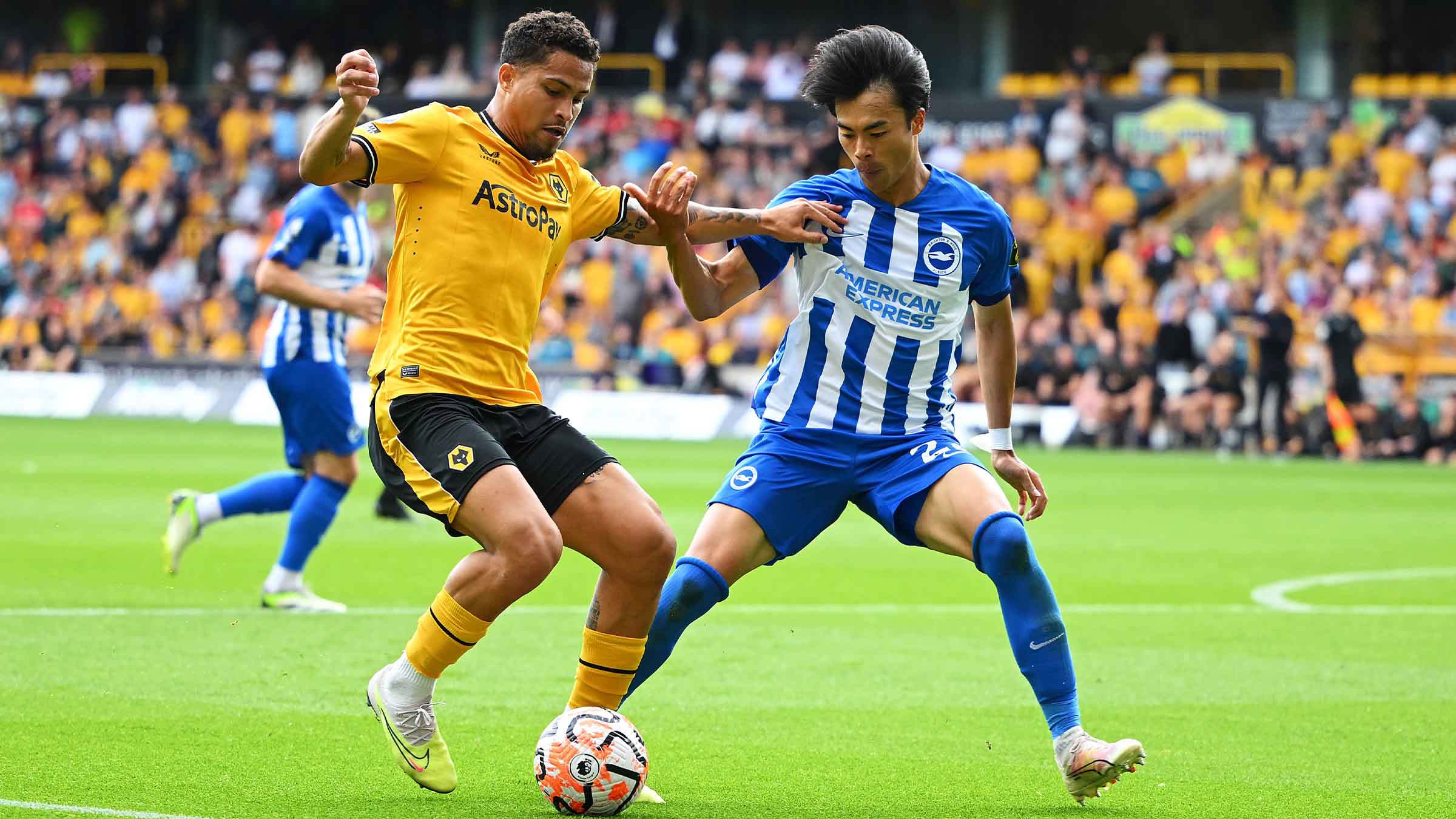 Prediksi Lengkap Carabao Cup 2024 Brighton vs Wolves