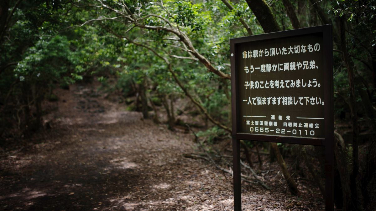 Rekam Jasad Korban di Hutan Aokigahara, 1 Youtuber Indonesia Dihujat