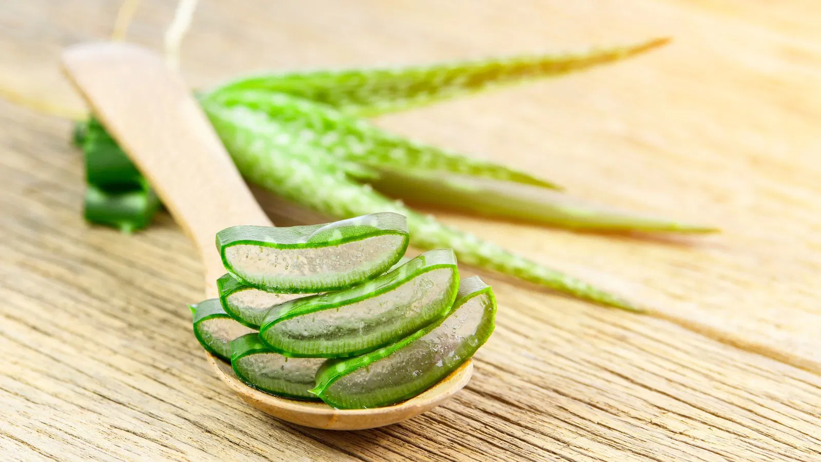 4 Manfaat Aloe Vera untuk Sehat Kulit dan Cantik