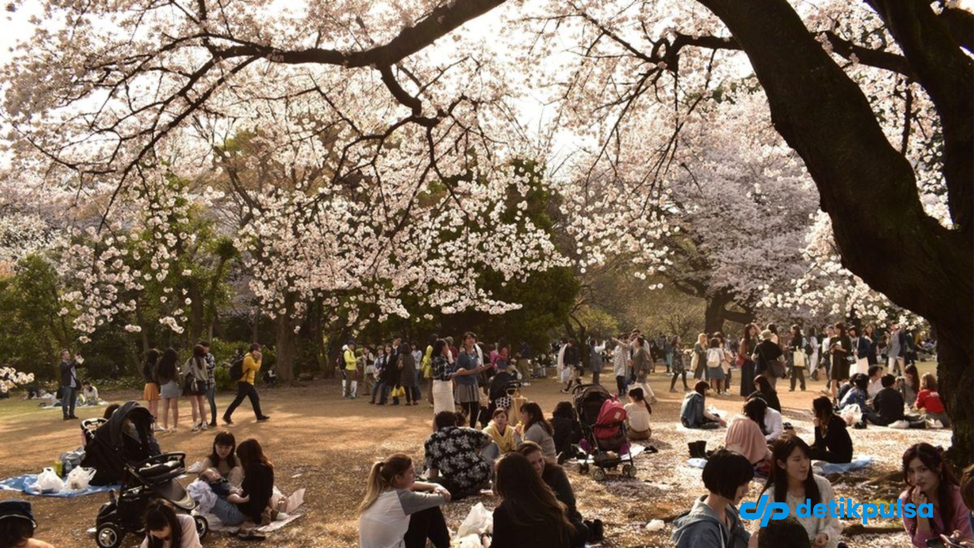 10 Kelakuan Turis yang Orang Jepang Paling Benci