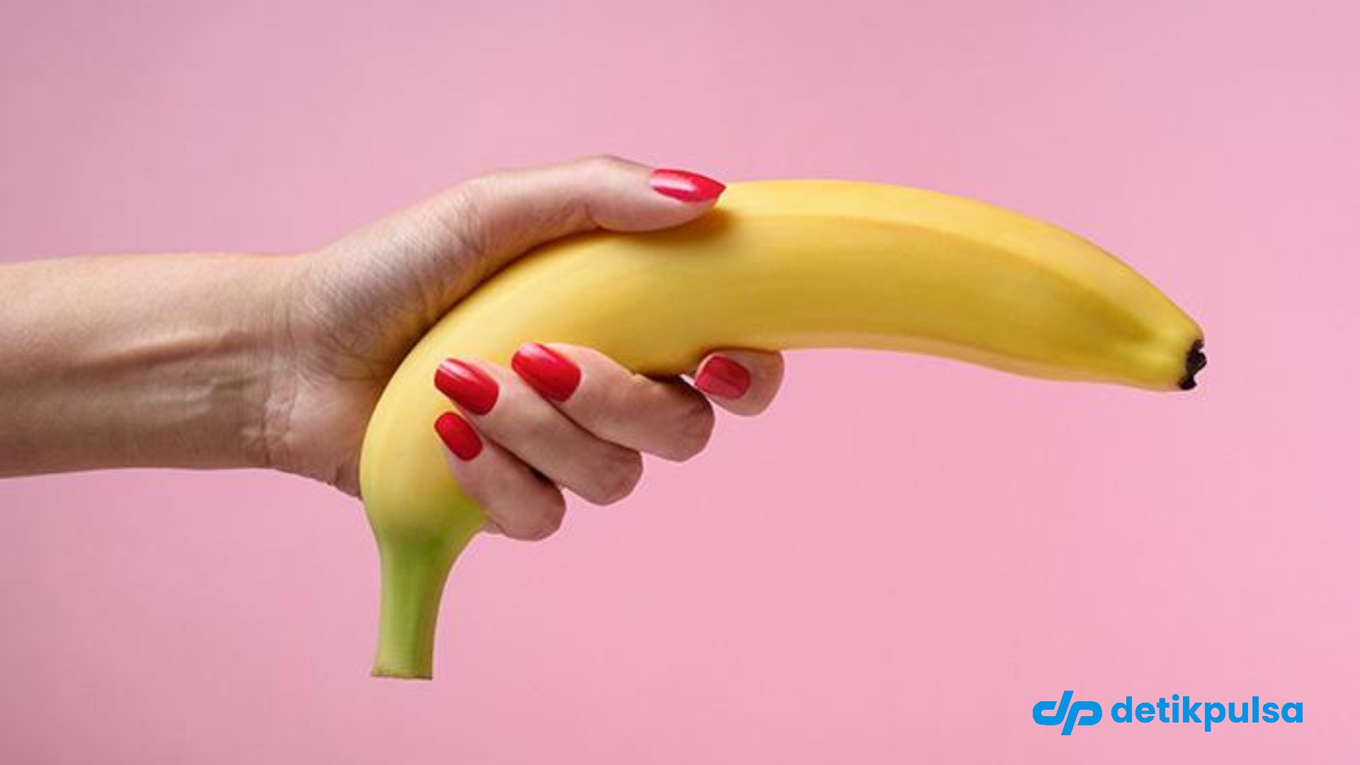 3 Tips Black Mamba Mainan 18+ yang Viral
