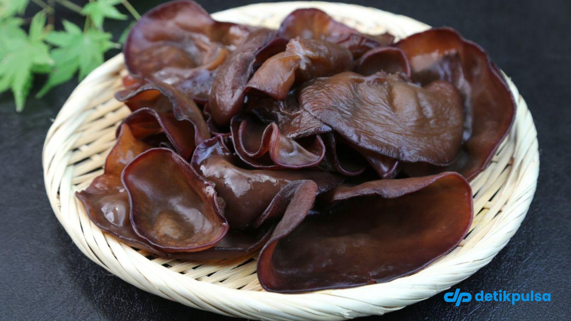 7 Manfaat Jamur Kuping, Super food Alam Tropis