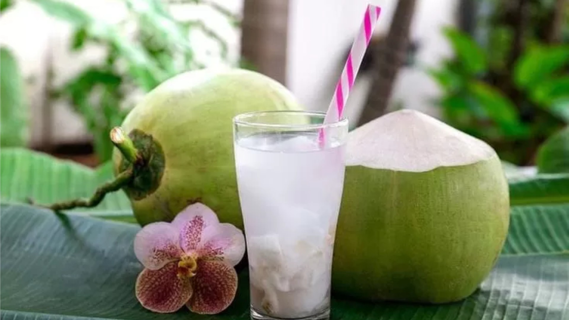 7 Minuman Alami yang Kaya Elektrolit