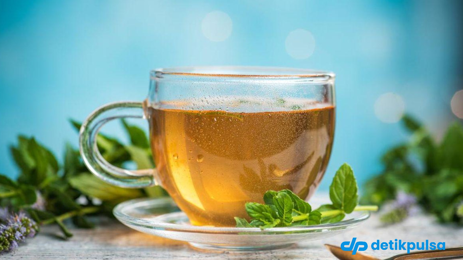 4 Air Rebusan Daun yang Mampu Kecilkan Perut Buncit