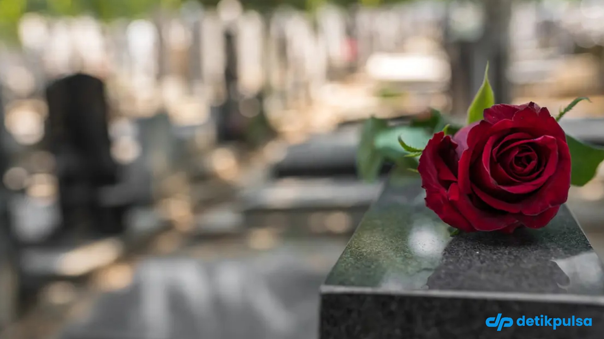 3 Fakta Metode Pemakaman Ramah Lingkungan